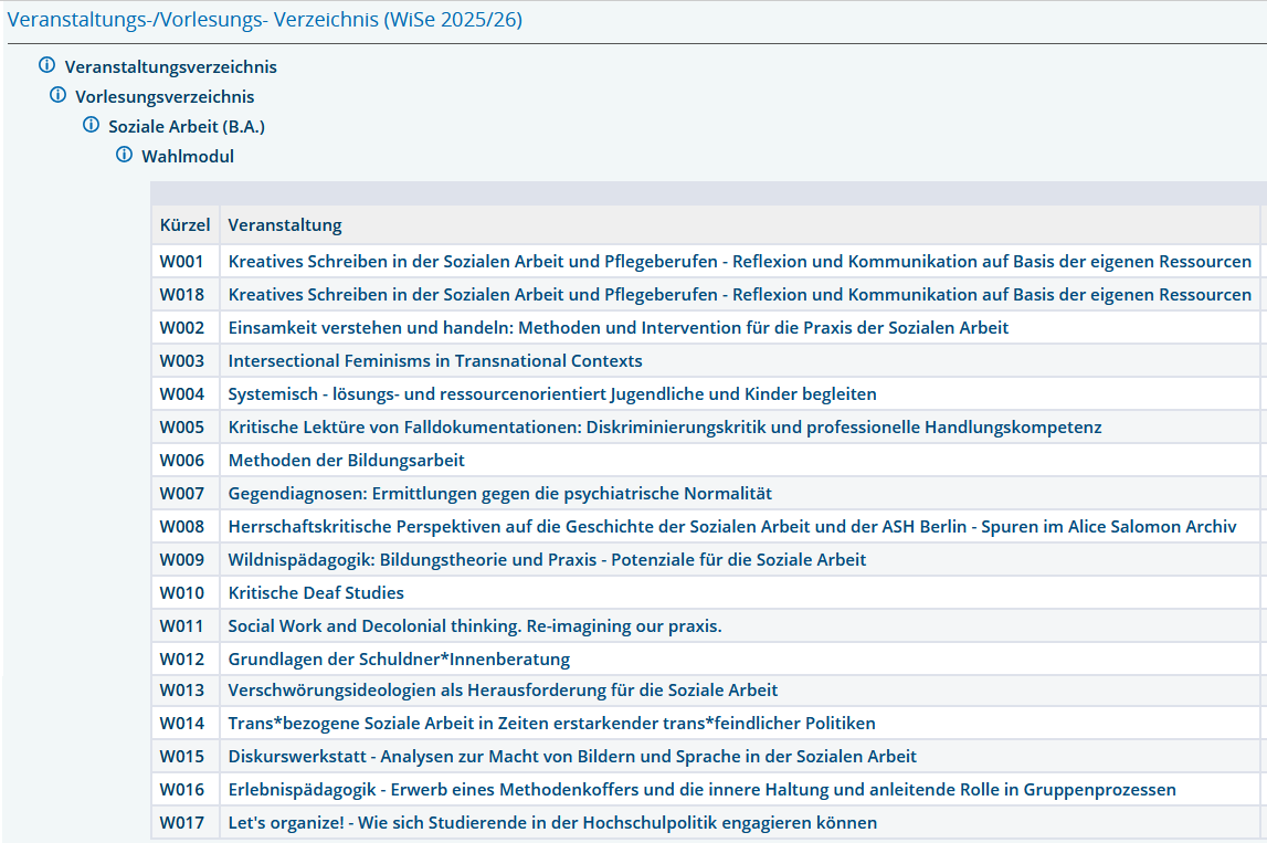 Wahlmodule im Wintersemester 25/26