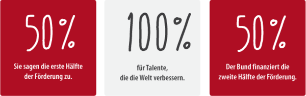 Grafische Darstellung, dass sich die private Förderer und der Bund das Deutschlands zu je 50 % teilen.tipendiums .
