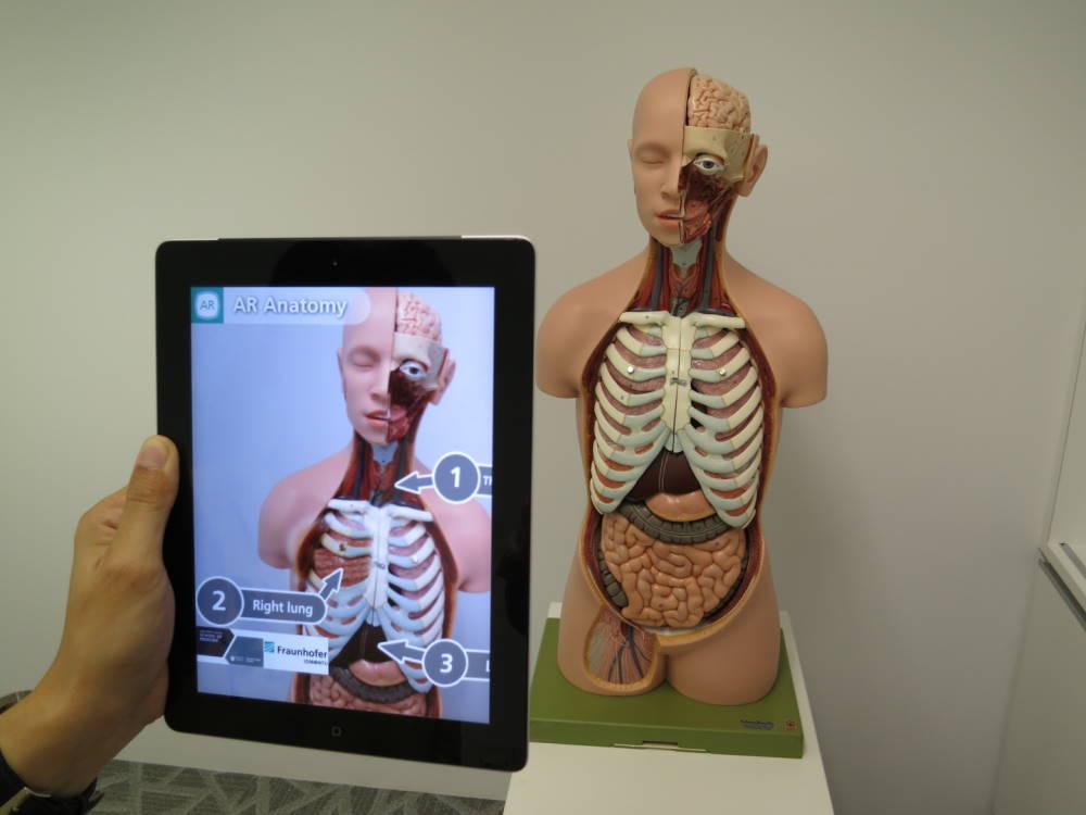 Das Photo zeigt ein Modell des menschlichen Körpers. Davor steht eine Person mit Tablet, die sich mittels eines Tablets digitale Zusatzinformationen über das Modell anzeigen lässt.