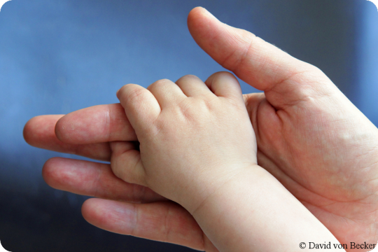 Kinderhand in Erwachsenenhand