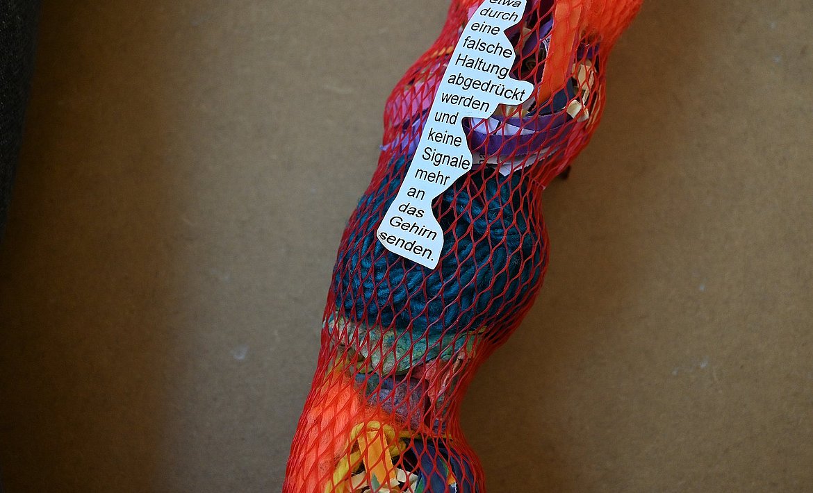 Zu sehen ist ein gefüllter roter Netzschlauch mit ausgeschnittenen gedrucktem Text