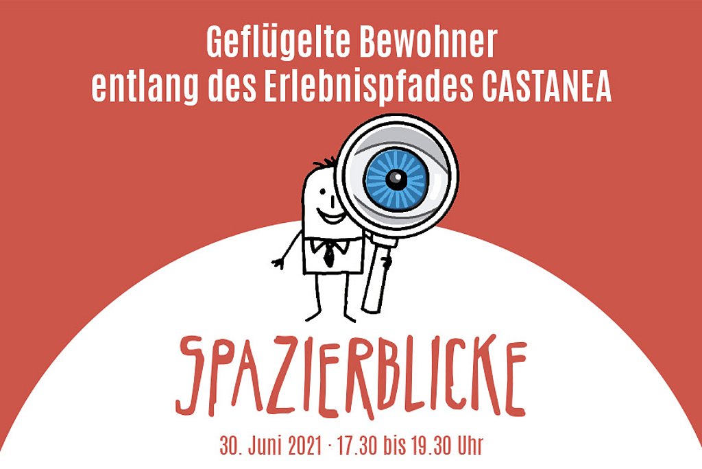 Spazierblick Geflügelte Bewohner