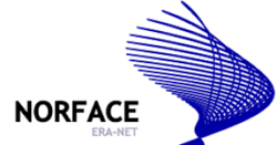 Logo Norface