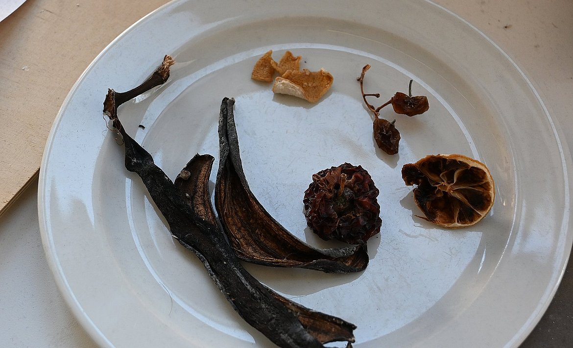 Zu sehen sind, auf einem Teller liegende, verschrumpelte verschiedene Früchte; eine Bananeschale, Trauben und Zitrusfrüchte 