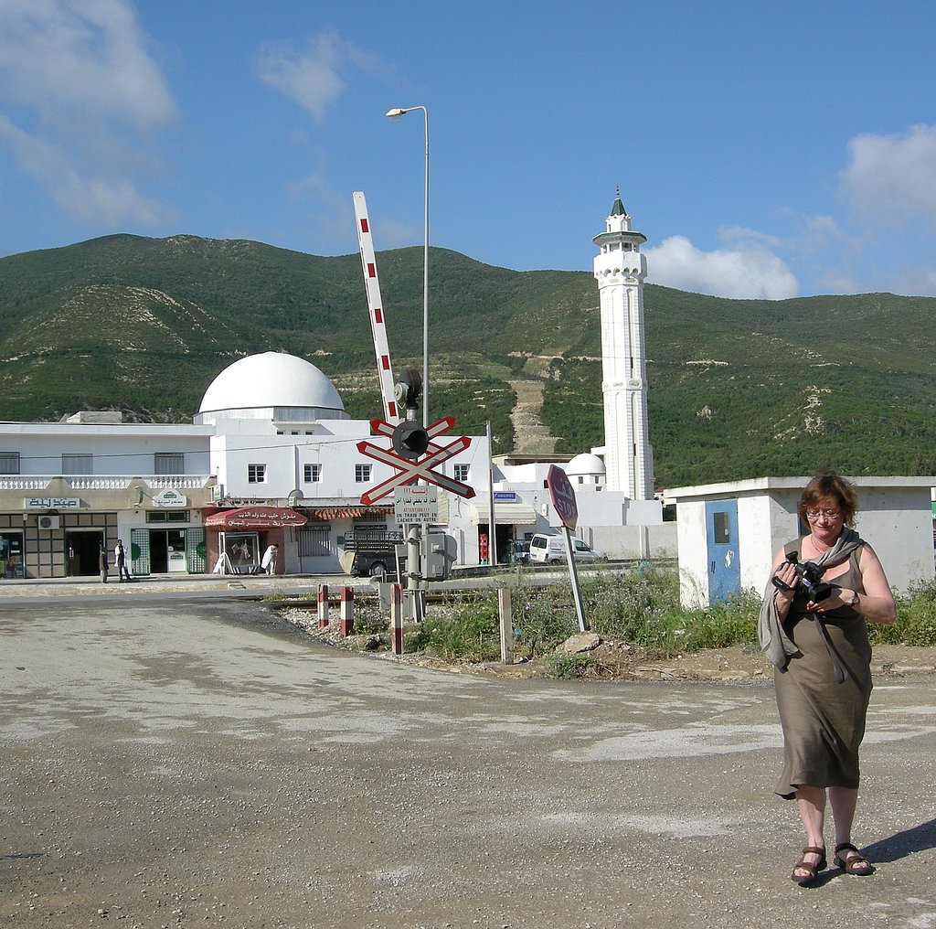 Eine Frau vor Bahnübergang, Moschee und grüner Gebirgskette.