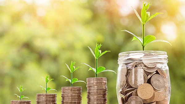 Pflanzen die aus Gläsern voll mit Geld wachsen