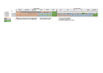 Zeitplan mit Start ab WiSe25 (Entwurf)