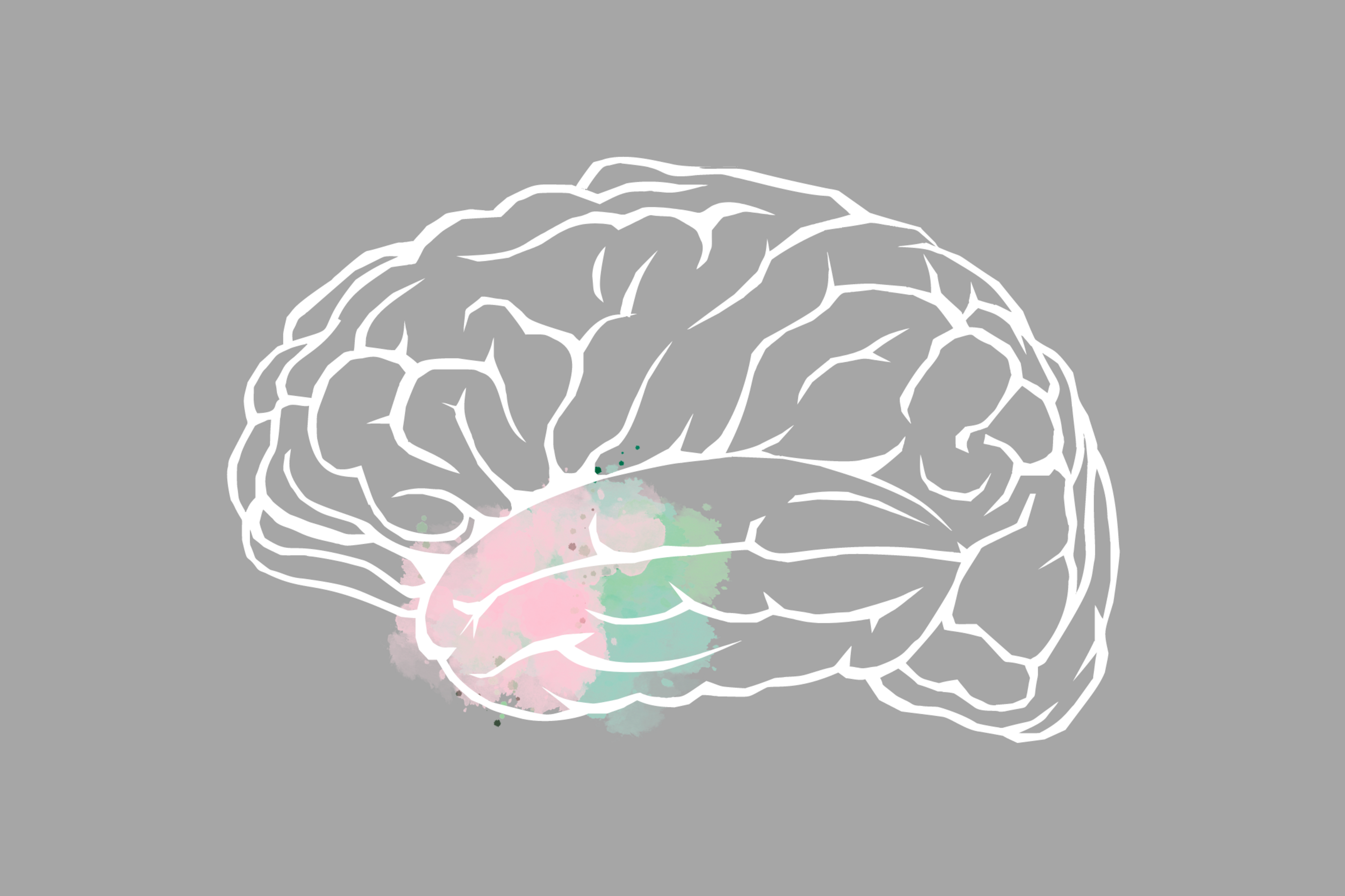 [Translate to Englisch:] Bild eines Gehirns mit eingefärbter Amygdala