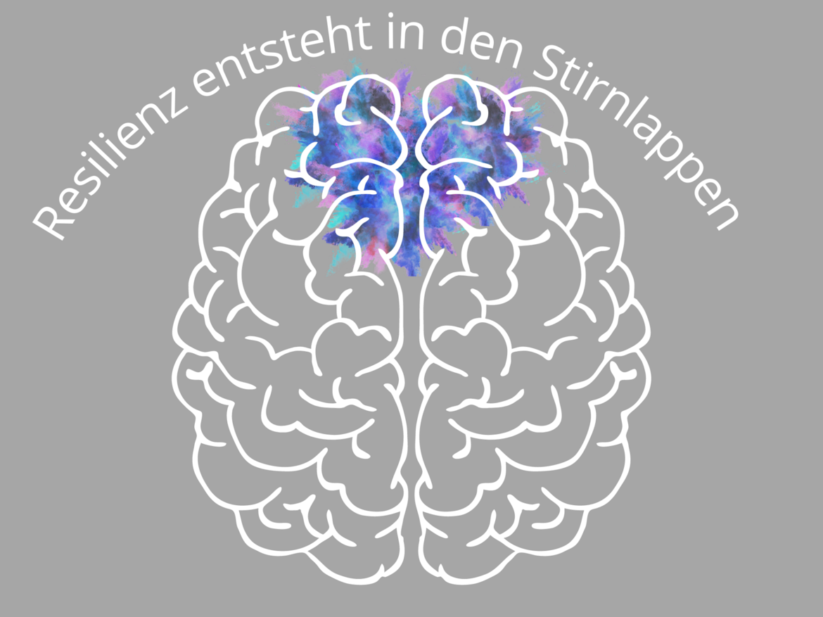 Zeichnung eines Gehirns mit eingefärbtem Frontalhirn