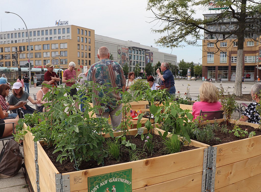 Hochbeete des Beirats auf dem Alice-Salomon-Platz