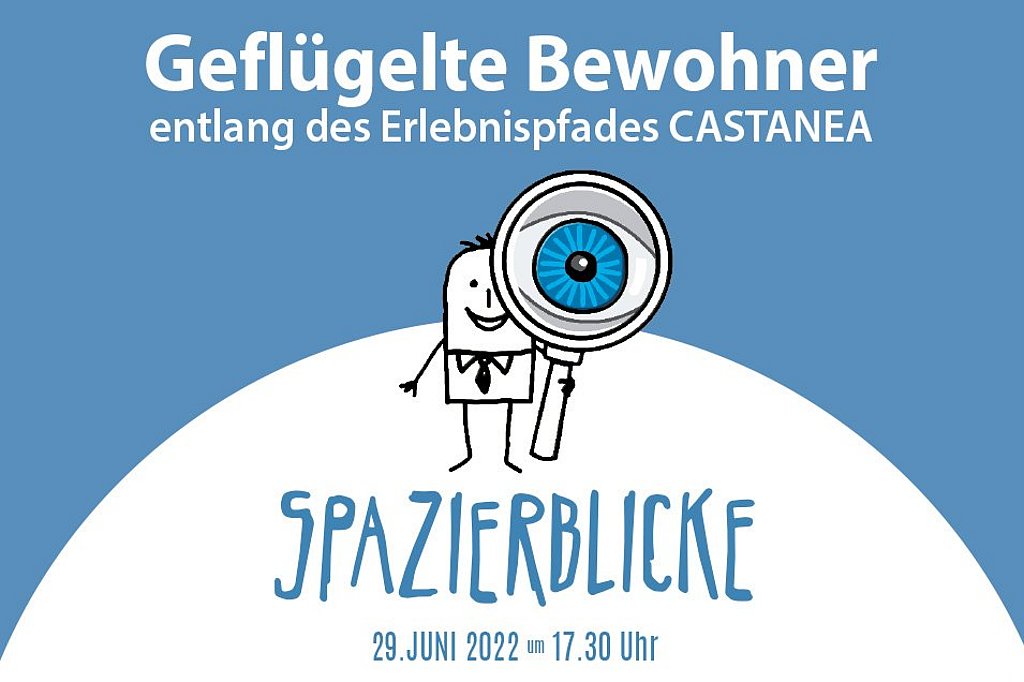 Spazierblick "Geflügelte Bewohner"