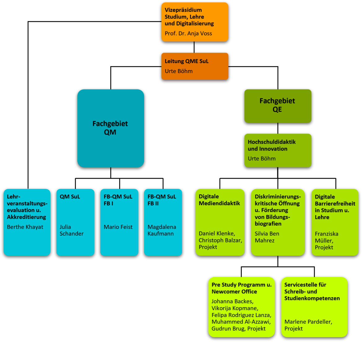 Organigramm der Abteilung