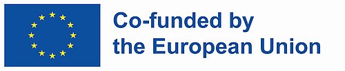 Europe flag, co-funded by the European Union