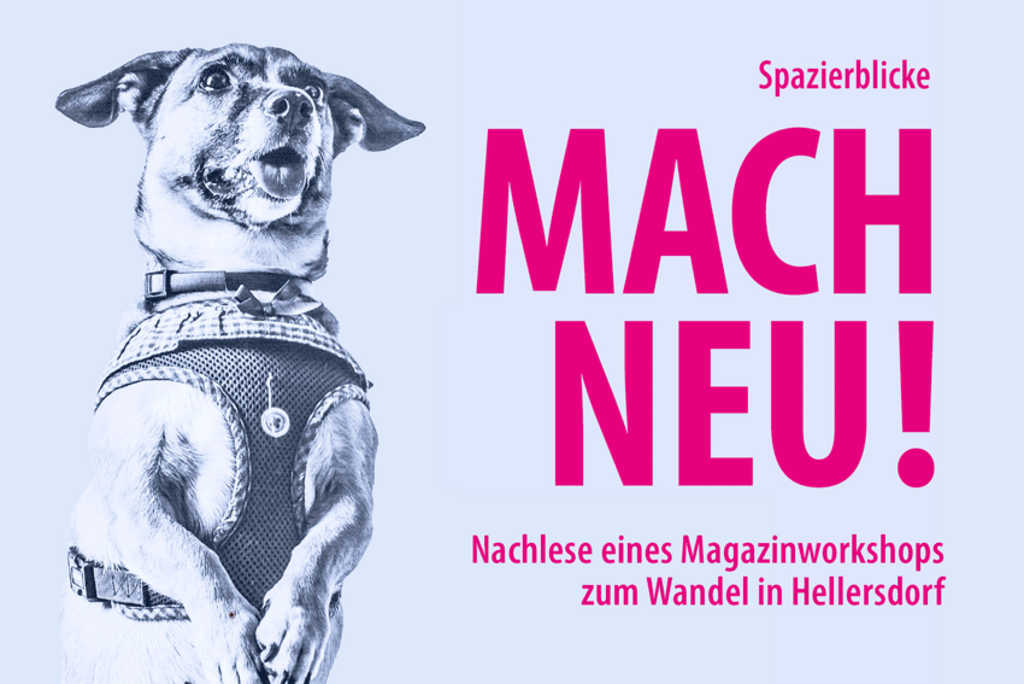 Hund mit ausgestreckter Zunge und Veranstaltungstext