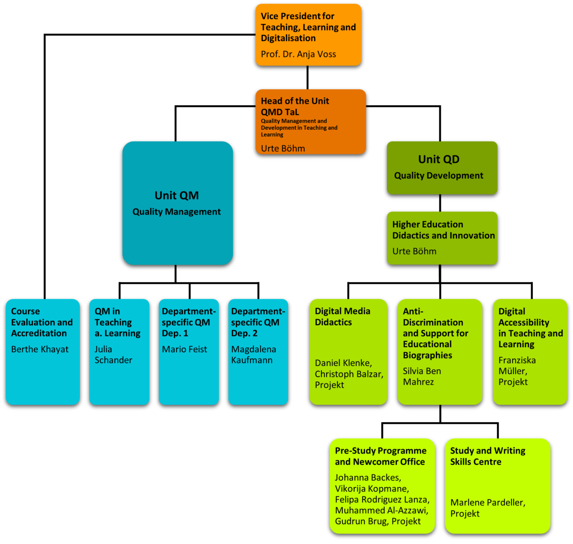 Organisational chart of the department