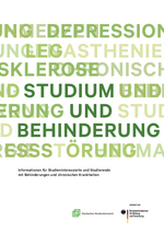 Handbuch Studium und Behinderung
