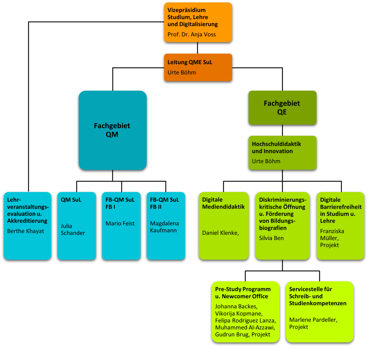 Organigramm der Abteilung