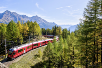 Zug, der durch die Natur fährt