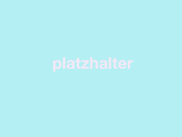 Trainer*in blauer Hintergrund, davor steht relativ groß in rosa "Platzhalter"