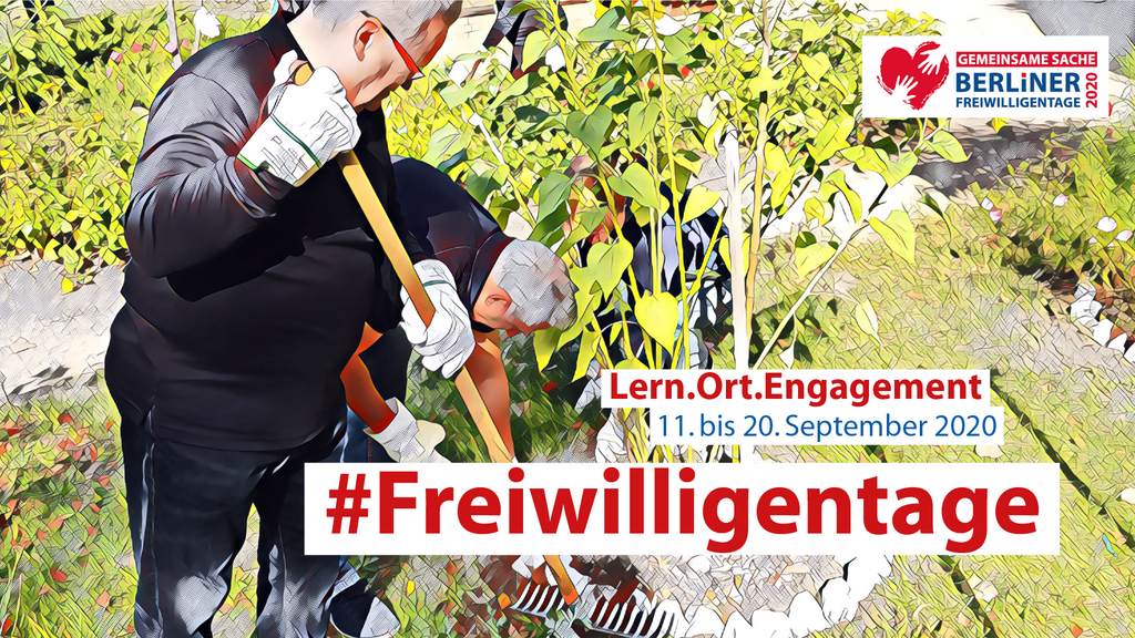 Menschen arbeiten in einem Garten anlässlich der Freiwilligentage Berlin