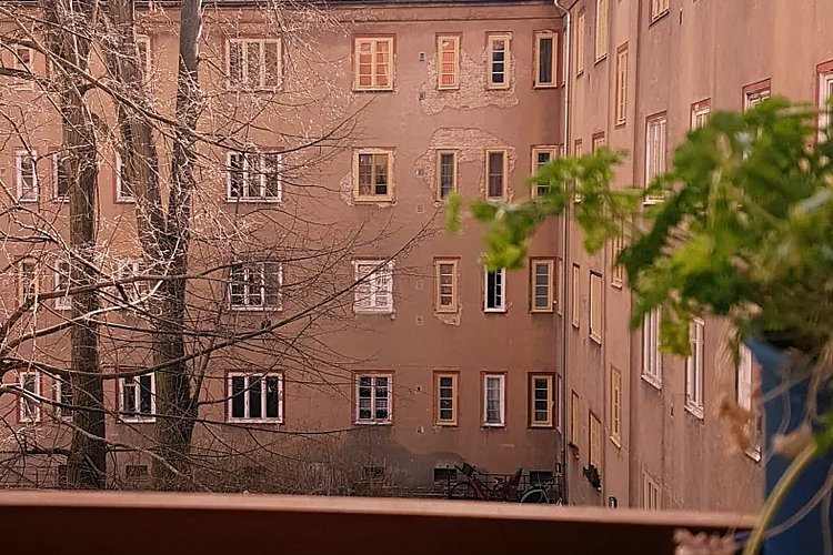 Blick aus einem Fenster in einen leeren Innenhof mit kahlen Bäumen. Auf dem Fensterbrett stehen ein Blumentopf sowie ein Aschenbecher. 